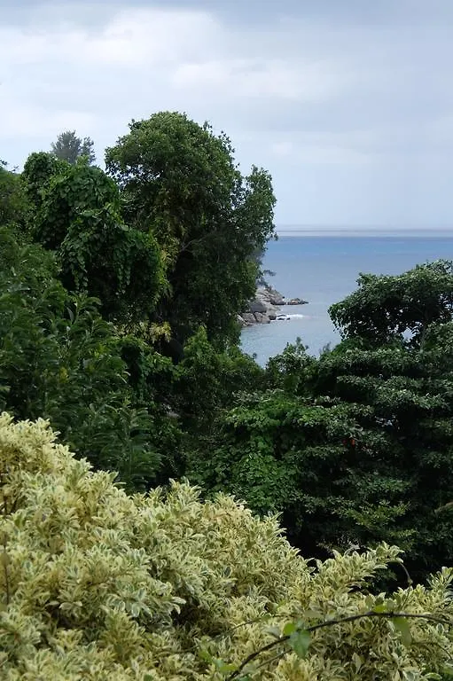 VI Miles Lodge Machabee